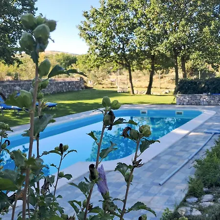 Holliday Holiday home