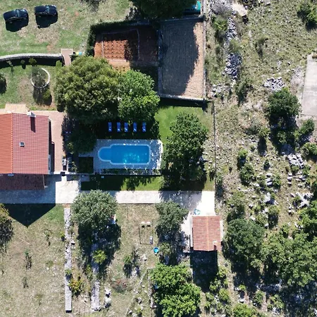 Holliday * Konjevrate