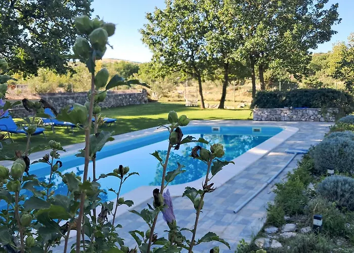 Holliday בית נופש