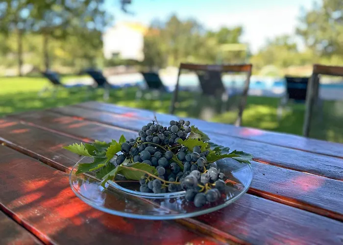 בית נופש Holliday