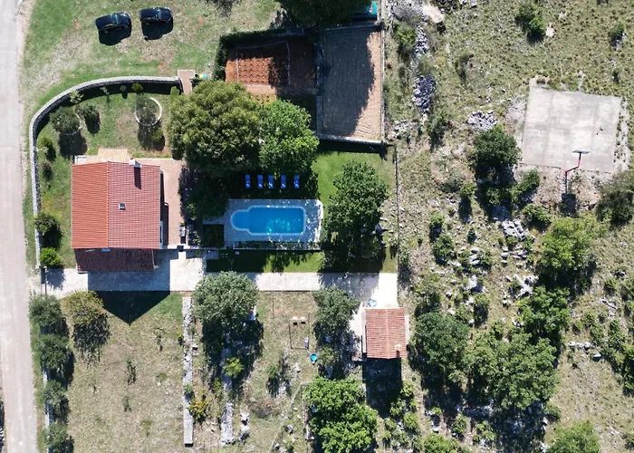 Holliday * Konjevrate